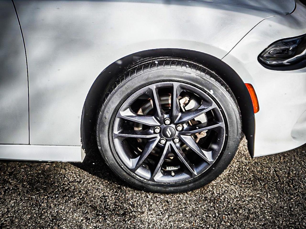 2023 Dodge Charger  Photo