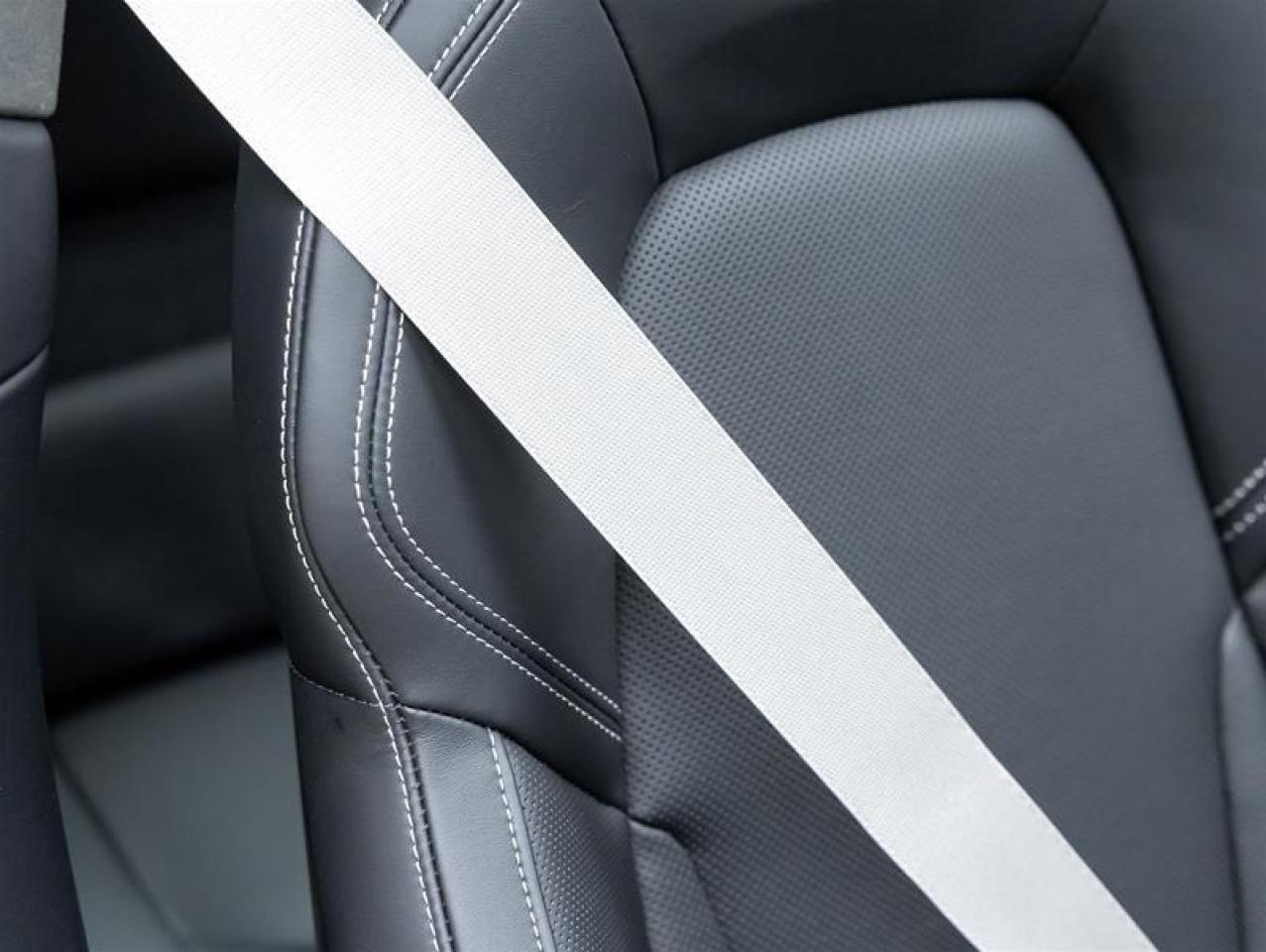 2025 Porsche 911  Photo