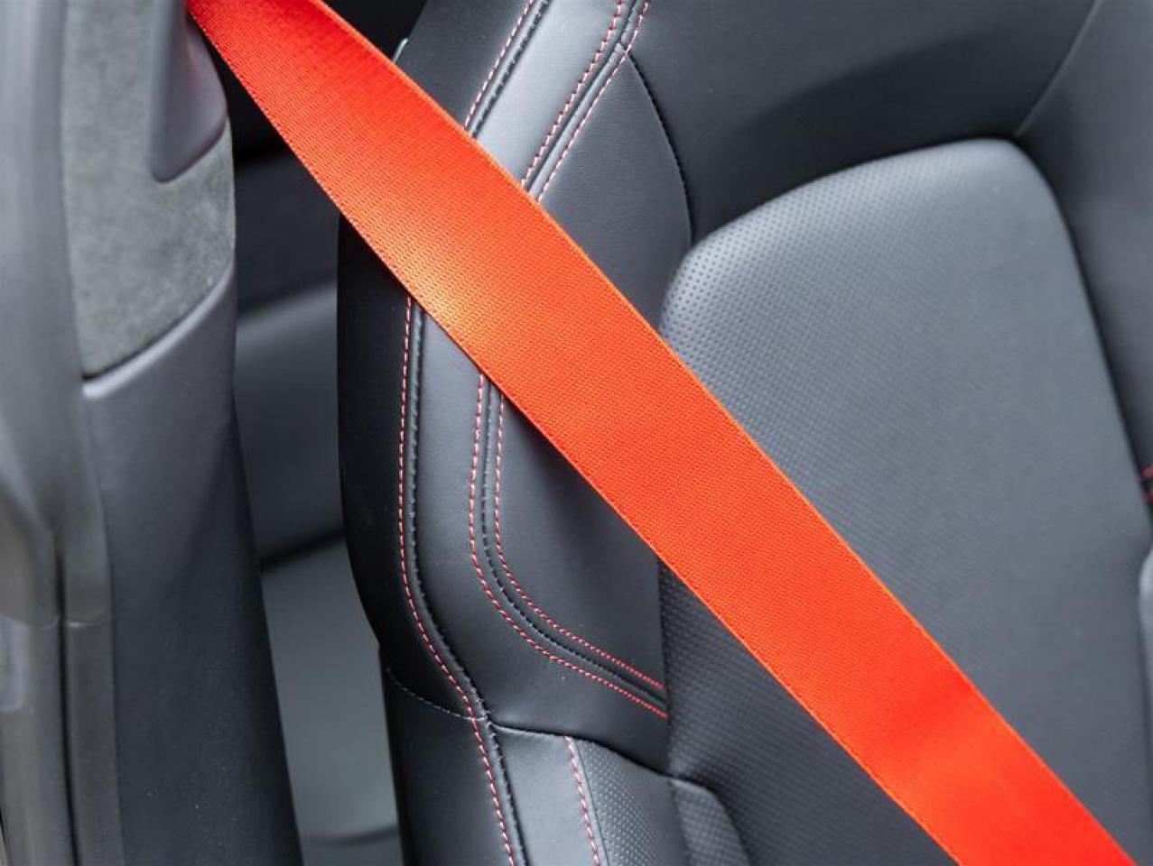 2025 Porsche 911  Photo