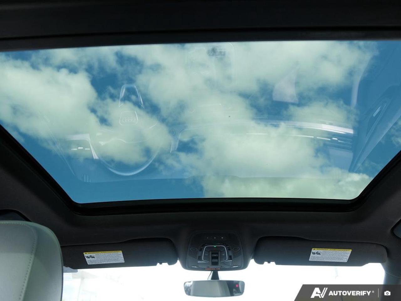 2019 Audi Q7 Progressiv 55 TFSI quattro Photo