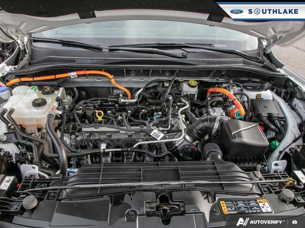 2024 Ford Escape ST-Line Select 4dr All-Wheel Drive Photo