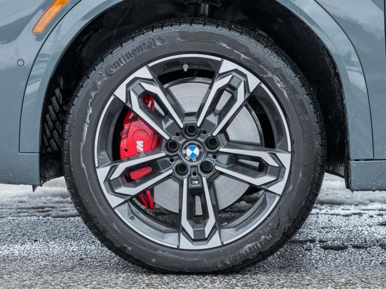 2025 BMW X2 xDrive28i 4dr All-Wheel Drive Sports Activity Coupe Photo