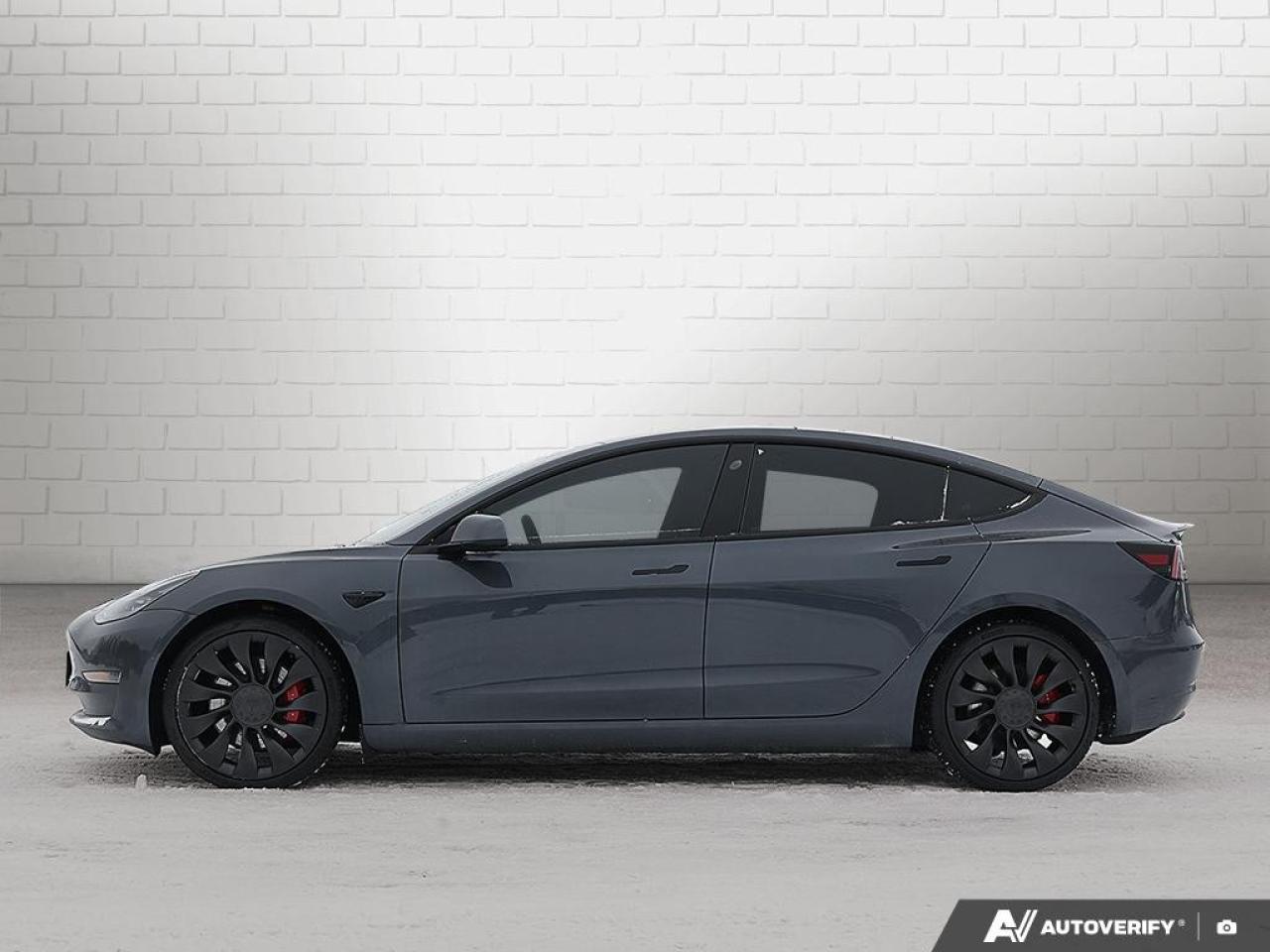 2022 Tesla Model 3 PERFORMANCE AWD Photo