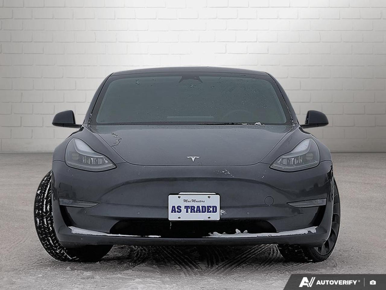 2022 Tesla Model 3 PERFORMANCE AWD Photo