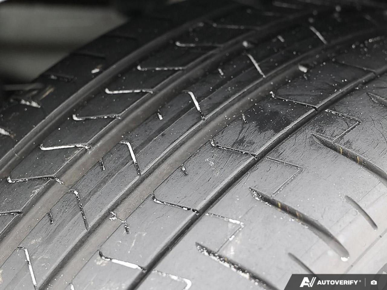 2022 Tesla Model 3 PERFORMANCE AWD Photo