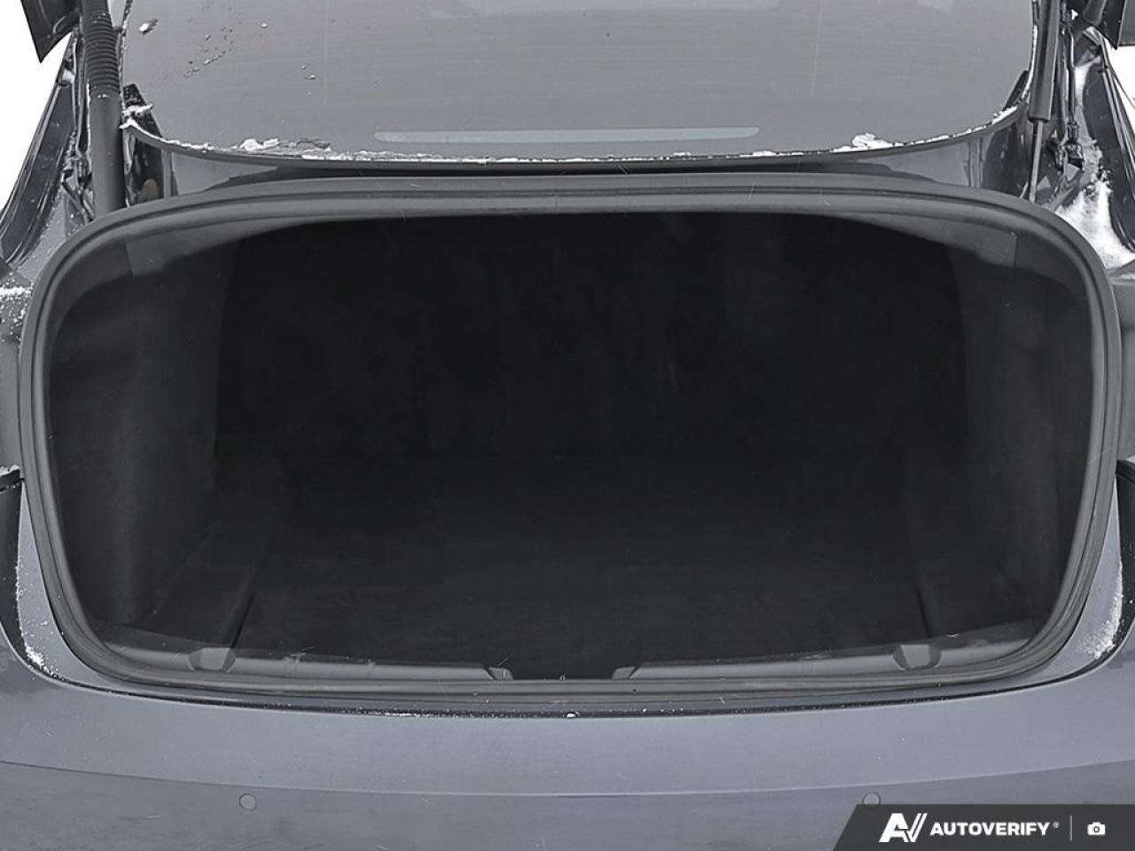 2022 Tesla Model 3 PERFORMANCE AWD Photo