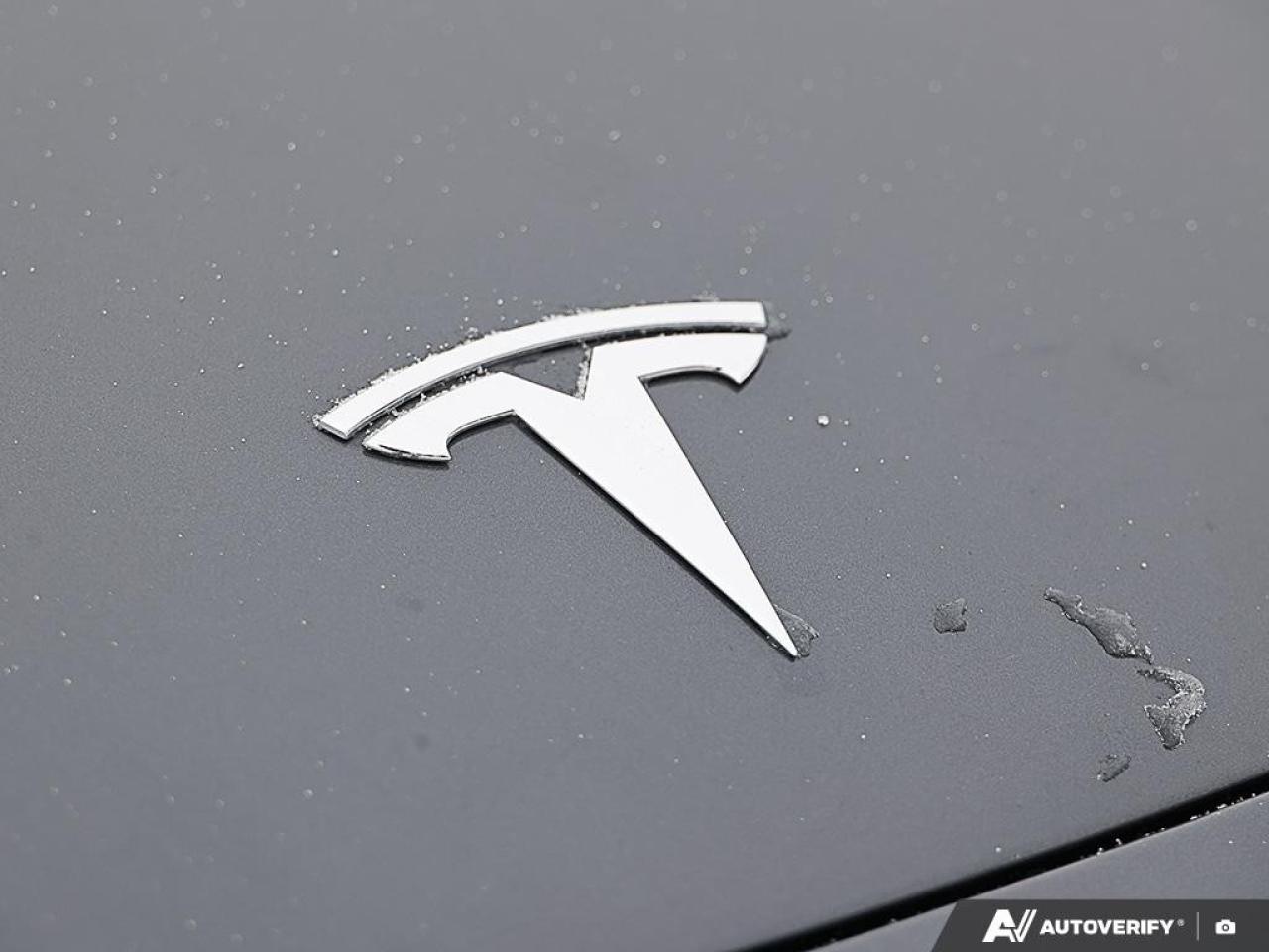 2022 Tesla Model 3 PERFORMANCE AWD Photo