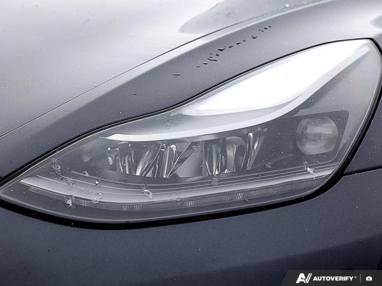 2022 Tesla Model 3 PERFORMANCE AWD Photo