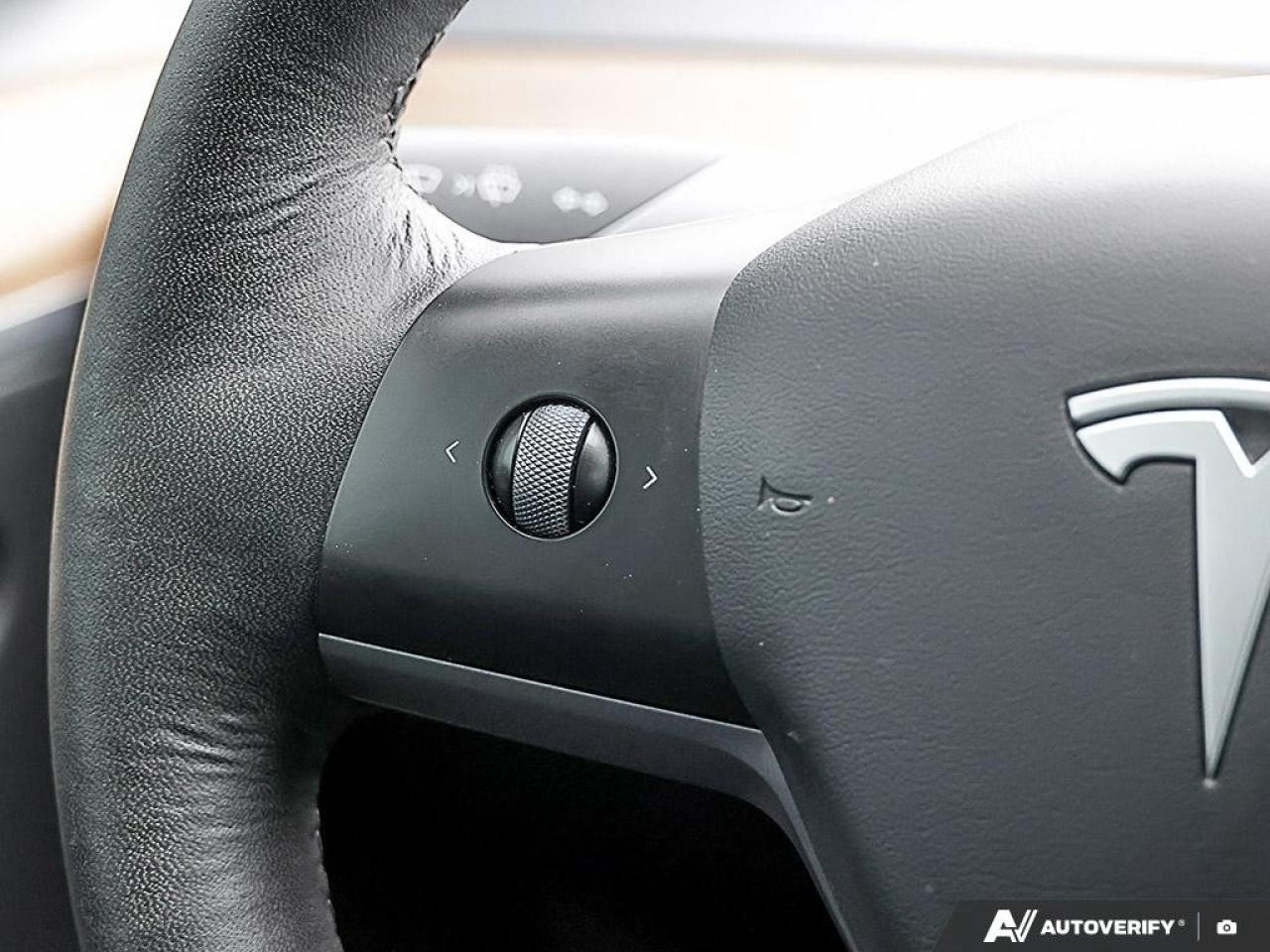 2022 Tesla Model 3 PERFORMANCE AWD Photo