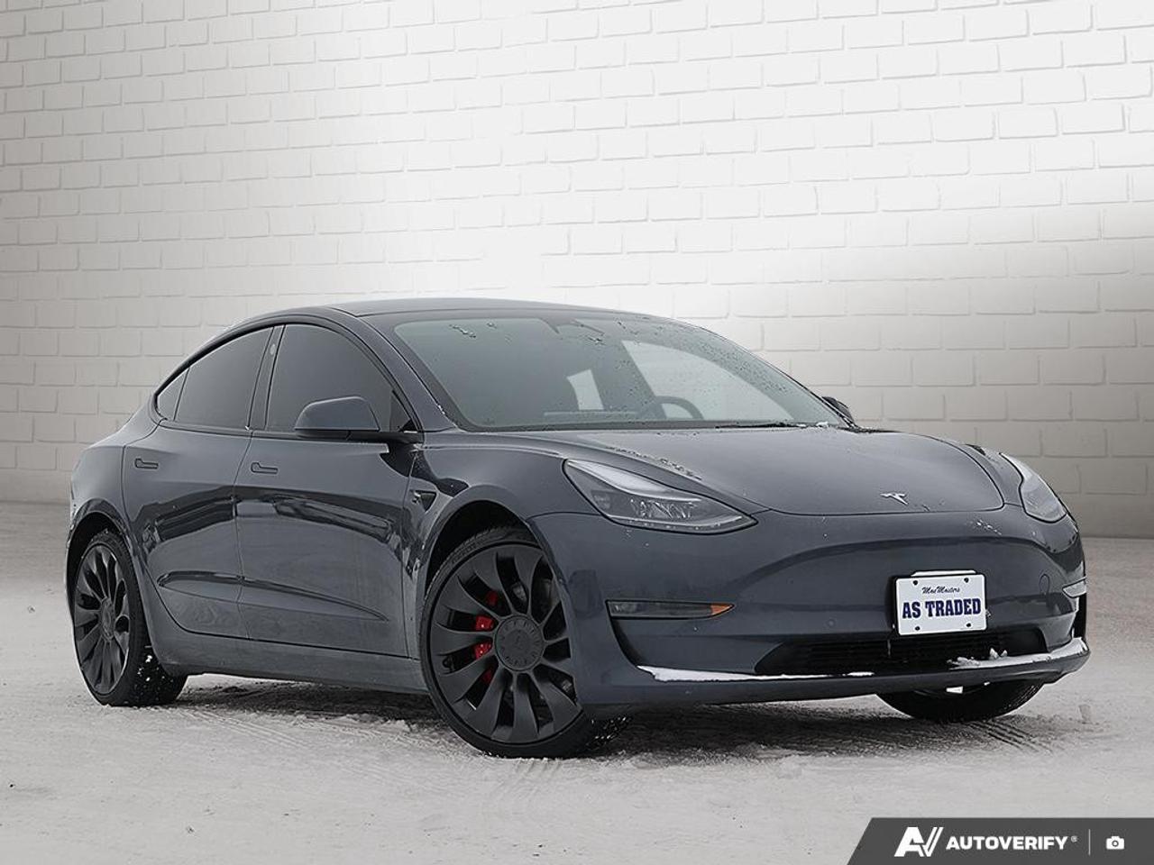 2022 Tesla Model 3 PERFORMANCE AWD Photo