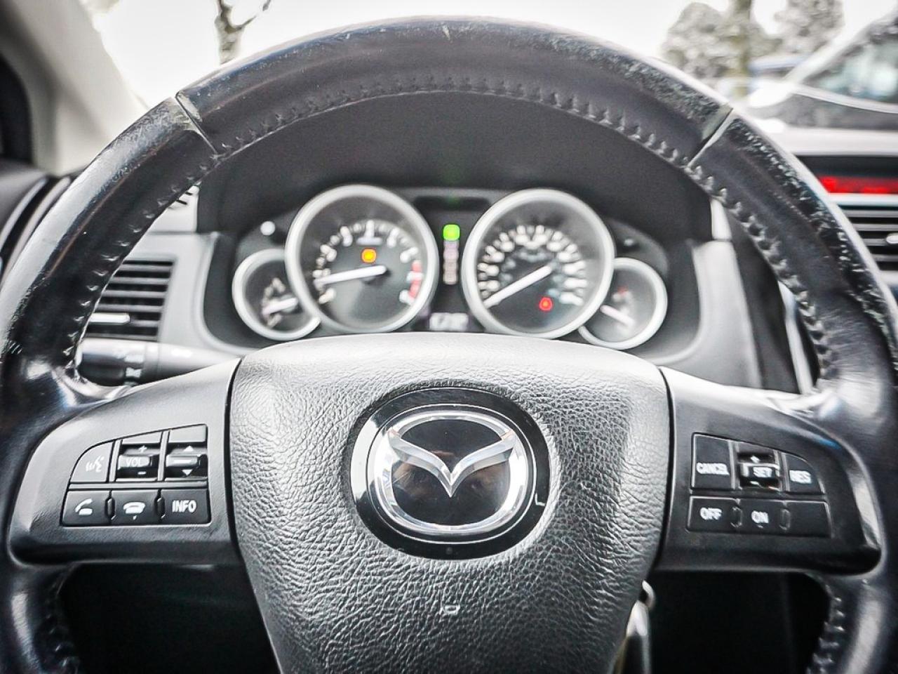 2015 Mazda CX-9  Photo