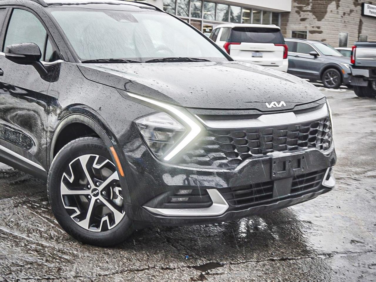 2024 Kia Sportage  Photo