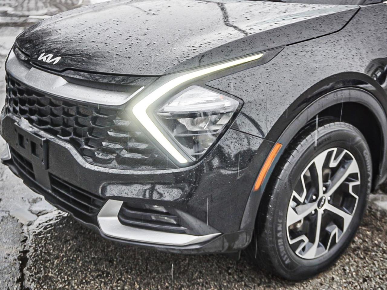 2024 Kia Sportage  Photo