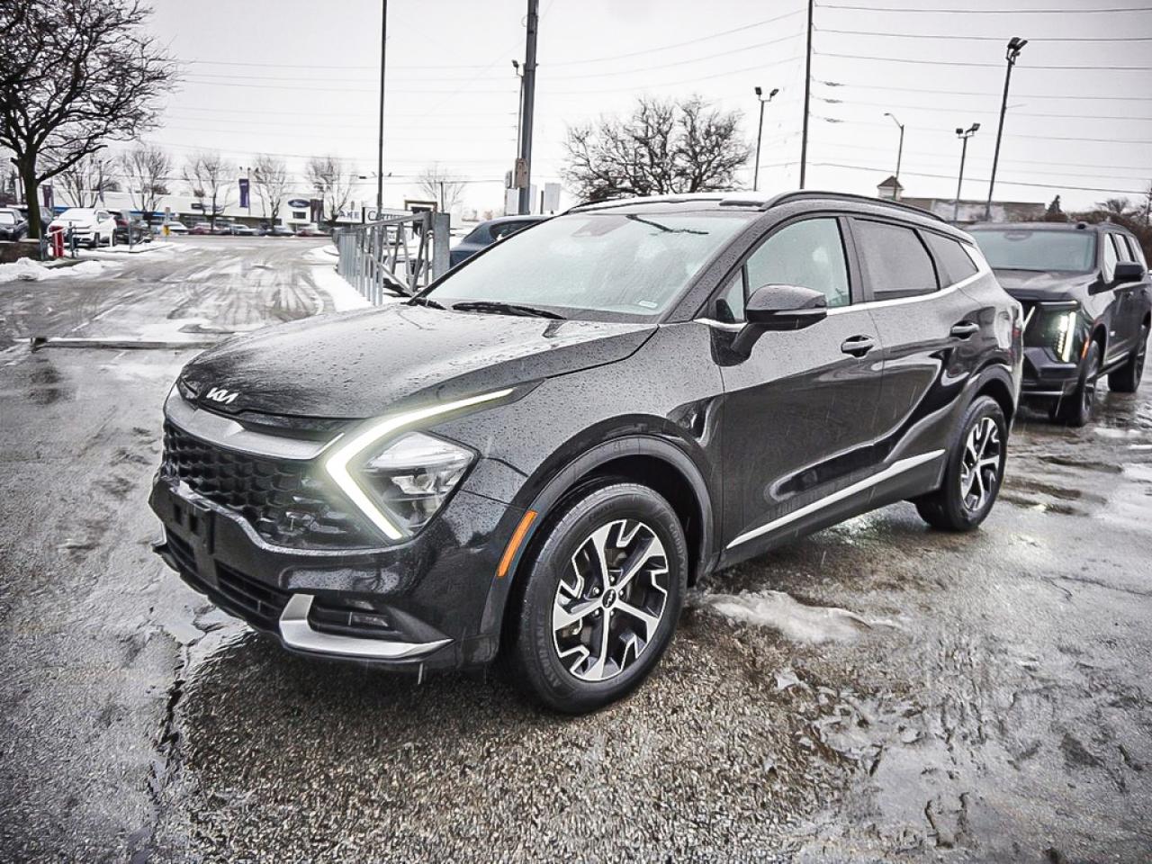 2024 Kia Sportage  Photo