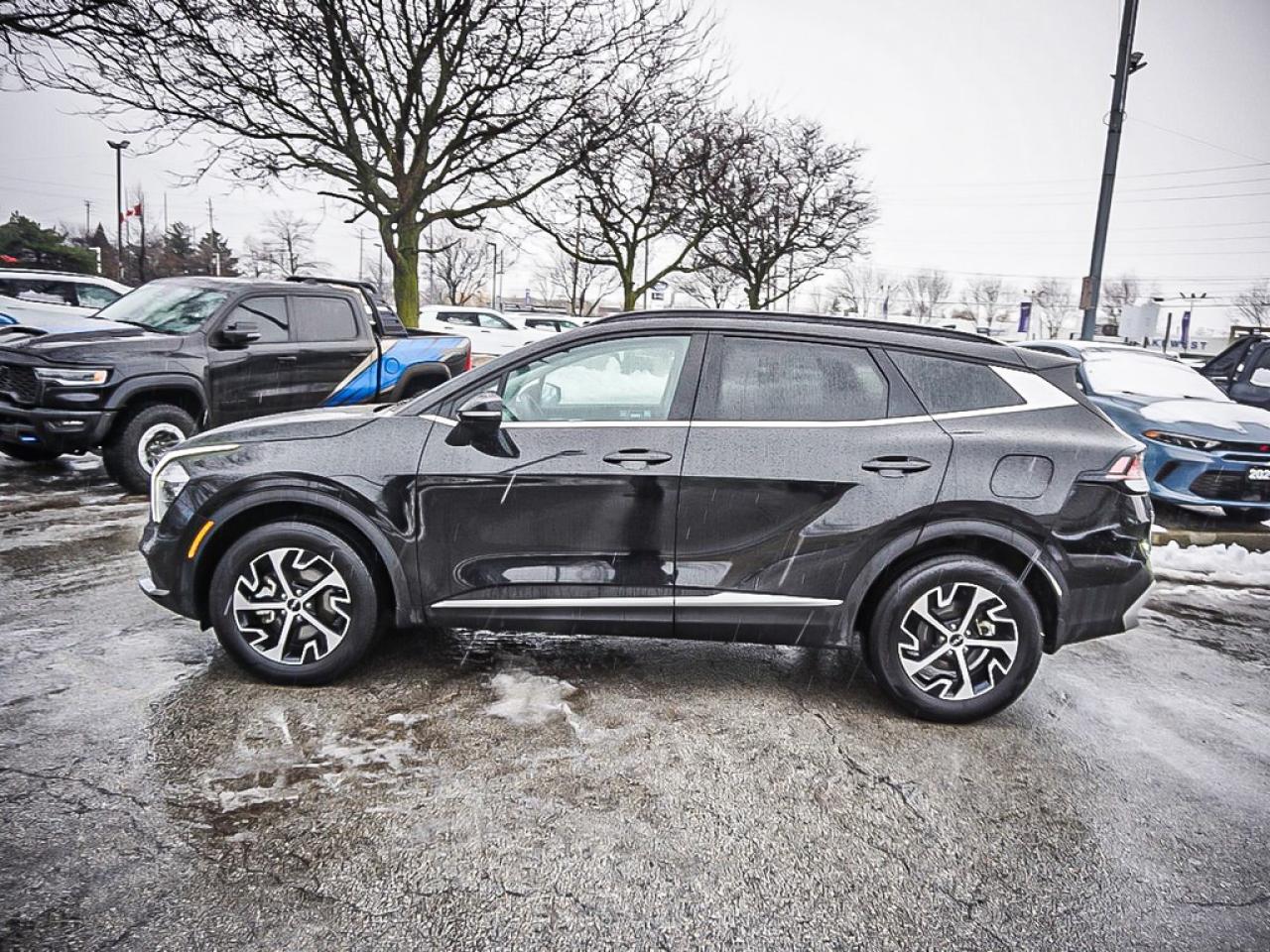 2024 Kia Sportage  Photo