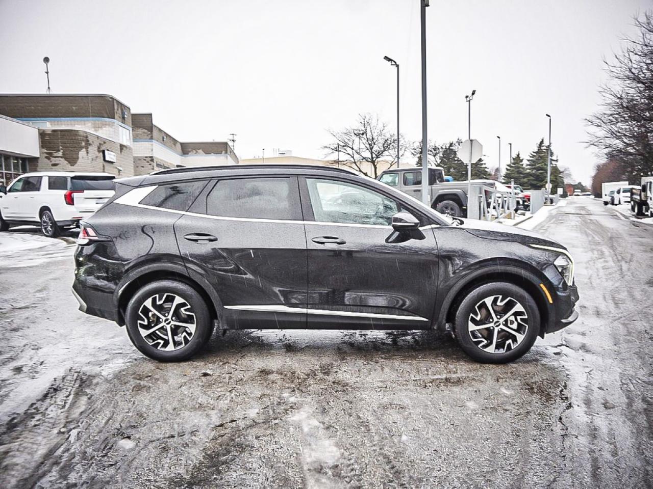 2024 Kia Sportage  Photo