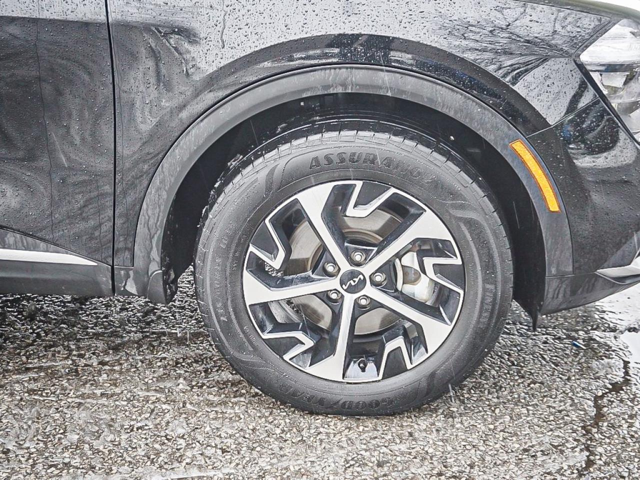 2024 Kia Sportage  Photo