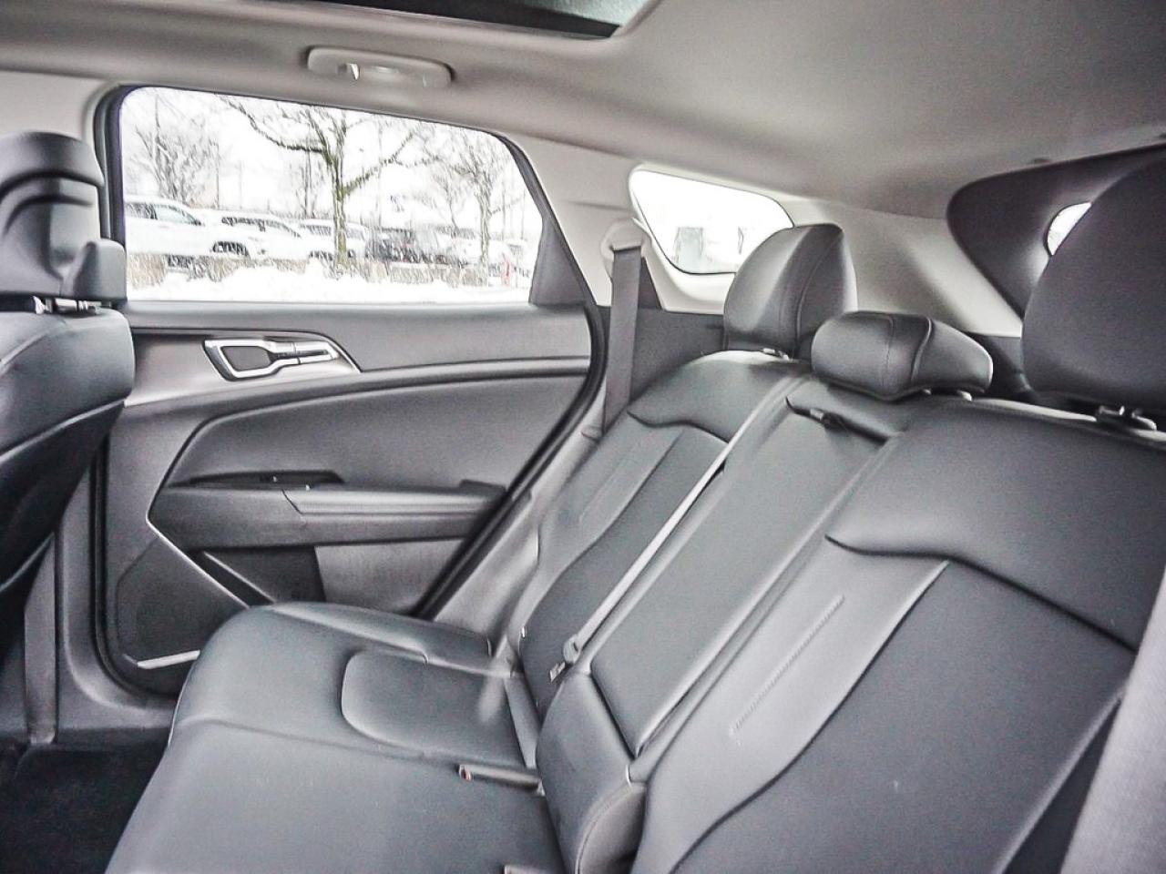 2024 Kia Sportage  Photo