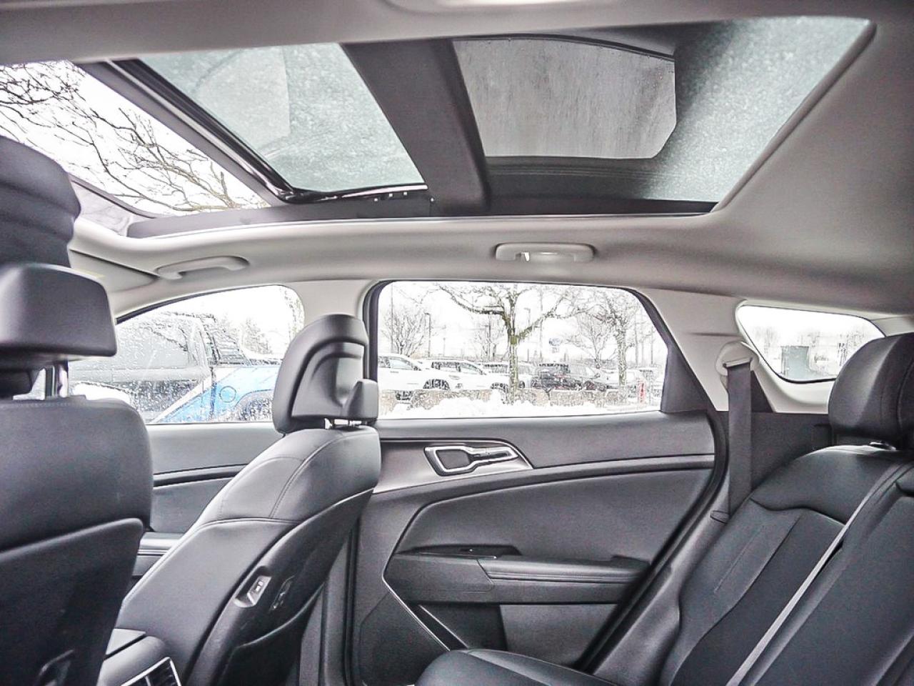 2024 Kia Sportage  Photo