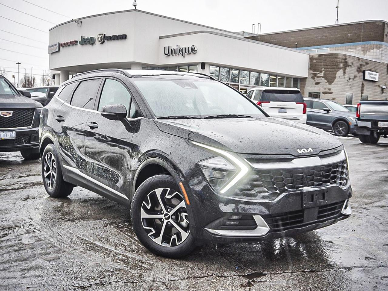 2024 Kia Sportage  Photo