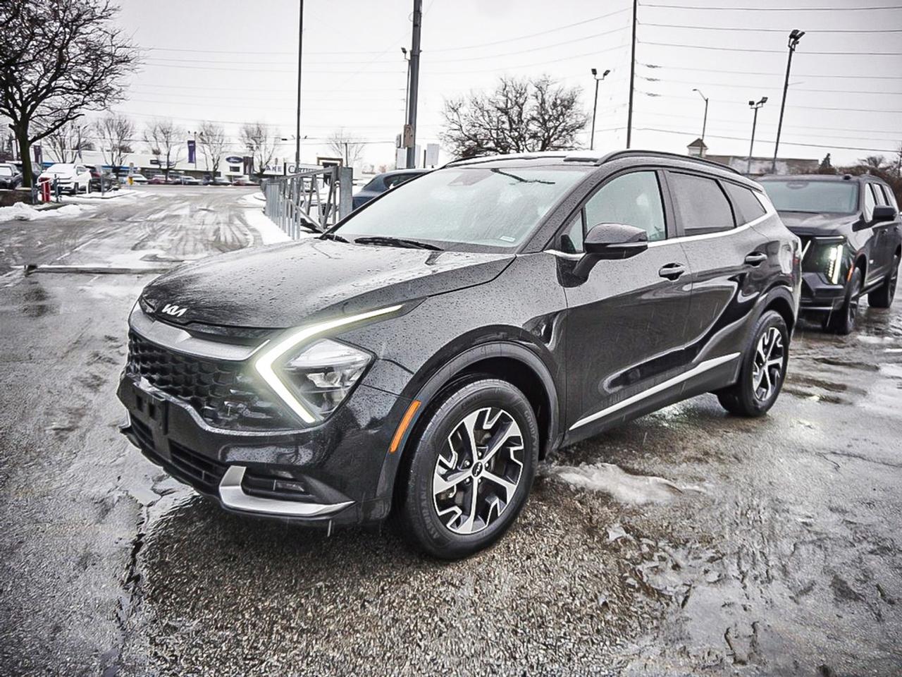 2024 Kia Sportage  Photo4