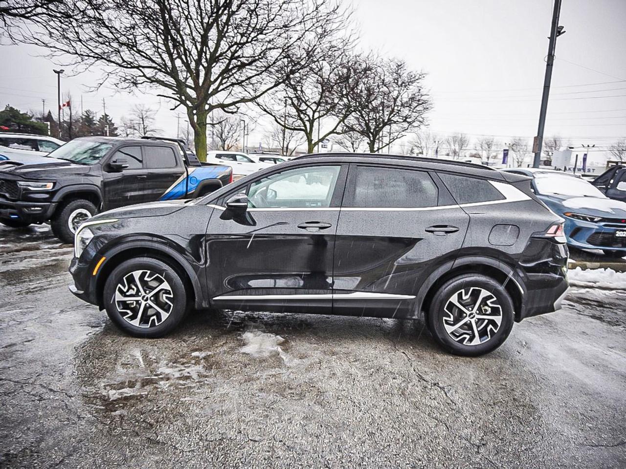 2024 Kia Sportage  Photo