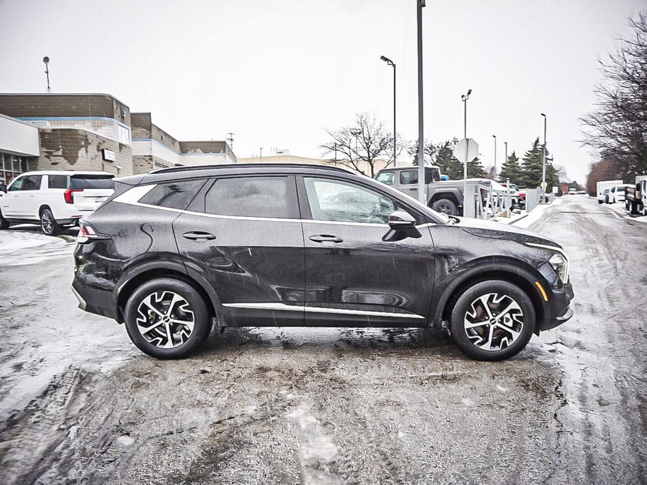 2024 Kia Sportage  Photo