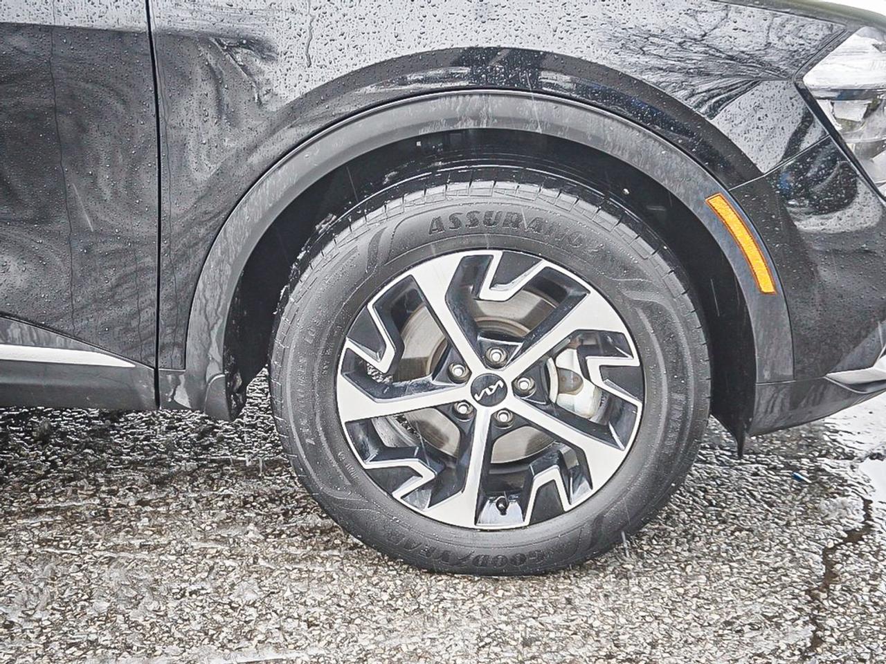 2024 Kia Sportage  Photo