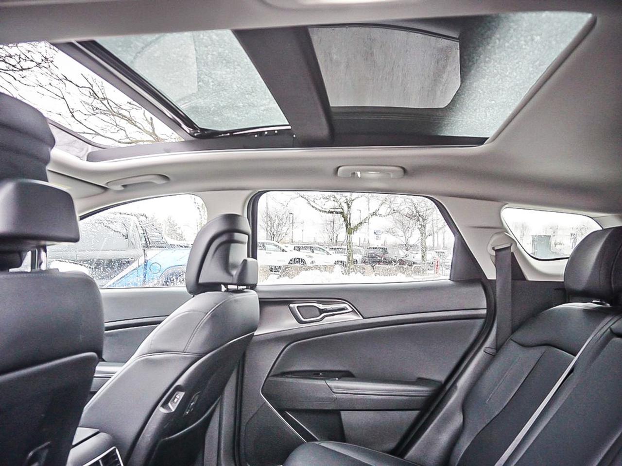 2024 Kia Sportage  Photo