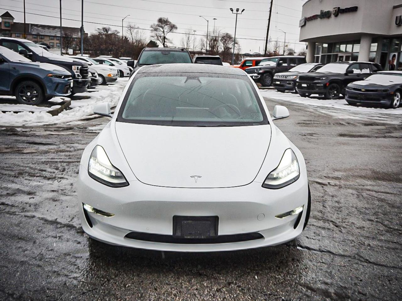 2019 Tesla Model 3  Photo