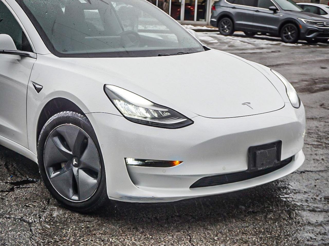 2019 Tesla Model 3  Photo
