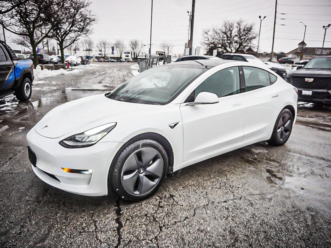 2019 Tesla Model 3  Photo4