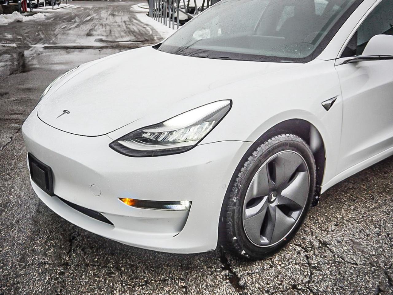 2019 Tesla Model 3  Photo3