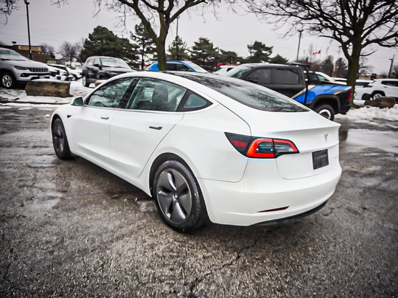 2019 Tesla Model 3  Photo