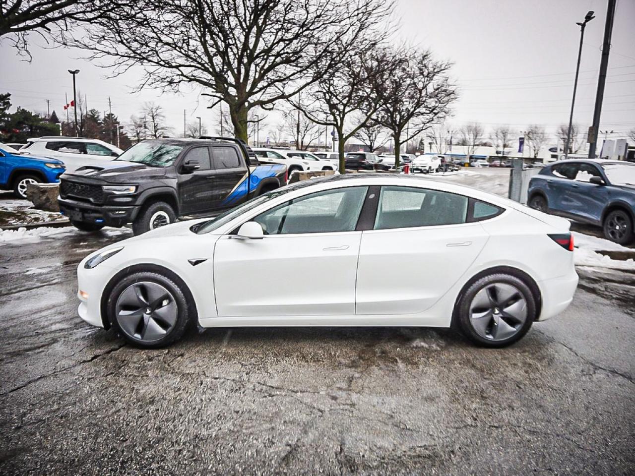 2019 Tesla Model 3  Photo