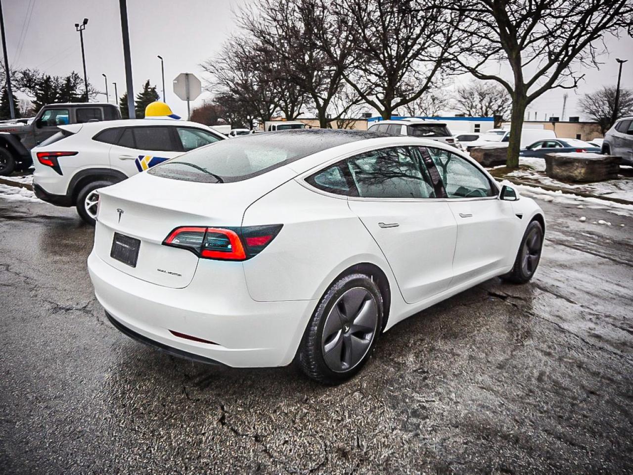 2019 Tesla Model 3  Photo