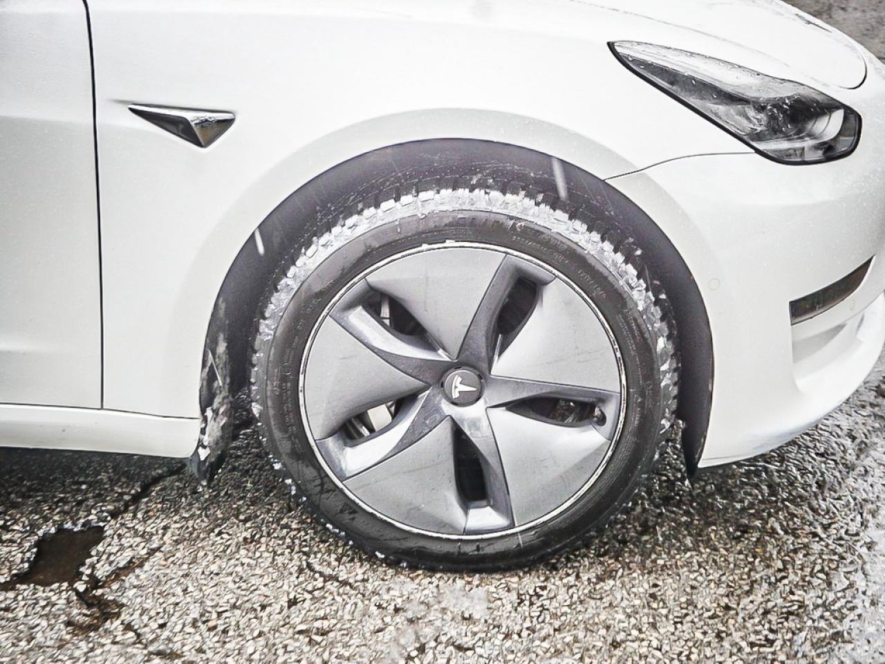 2019 Tesla Model 3  Photo