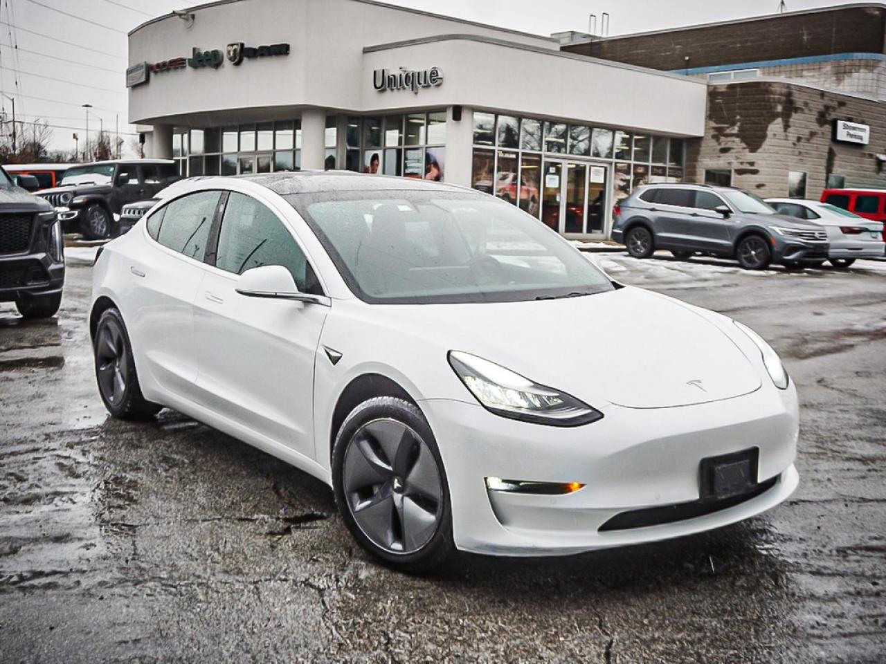 2019 Tesla Model 3  Photo