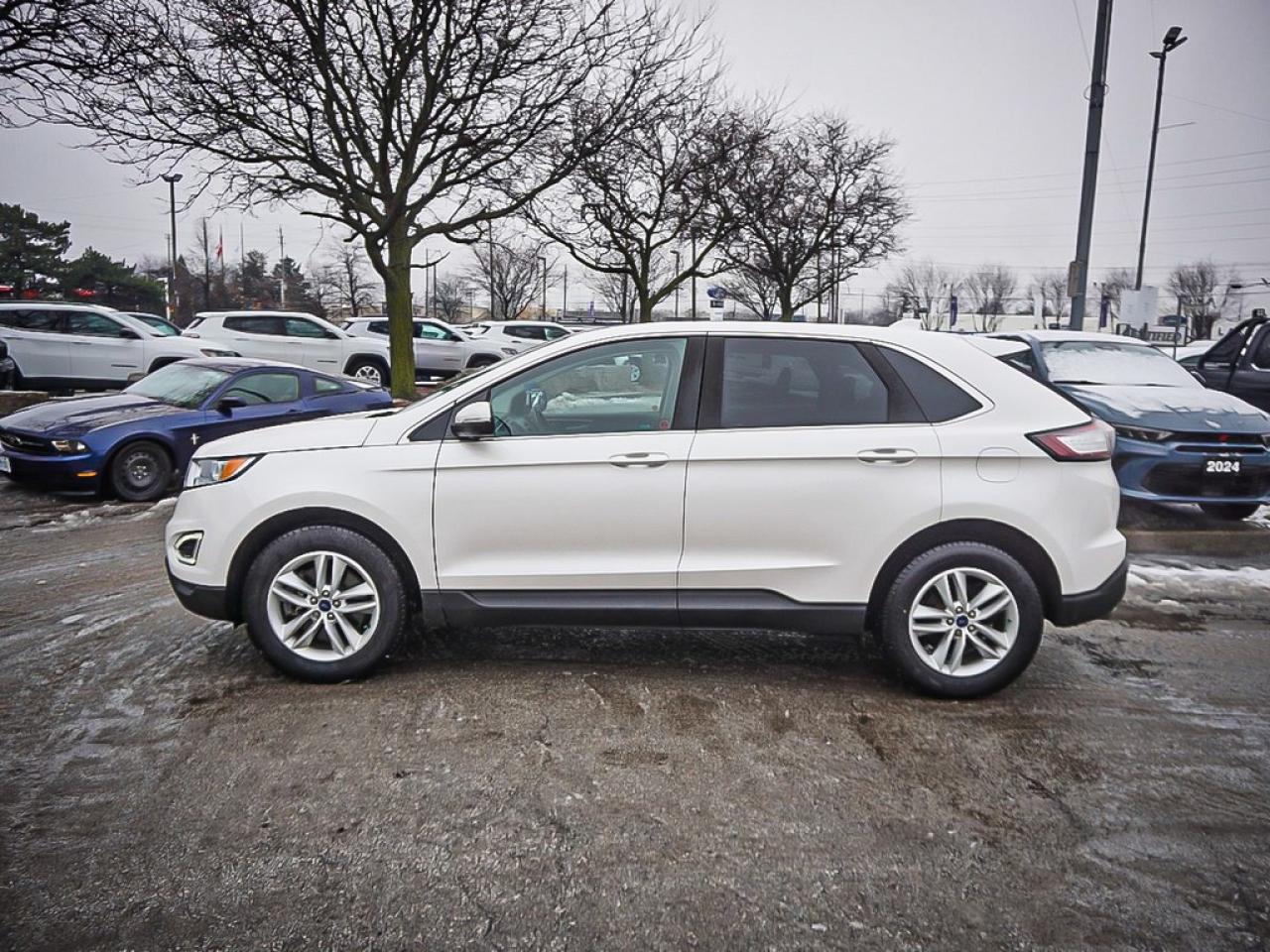 2017 Ford Edge  Photo