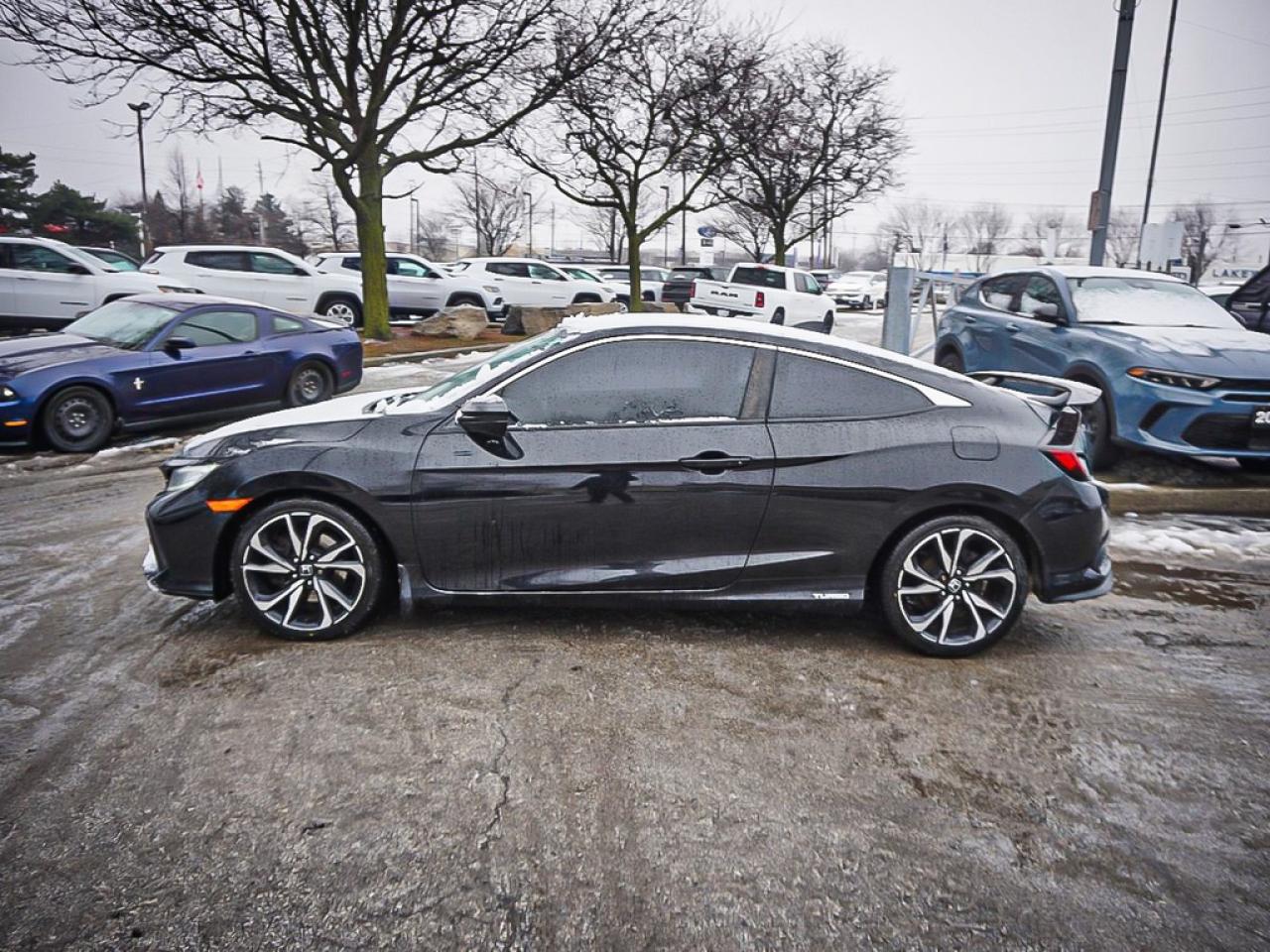 2017 Honda Civic Coupe  Photo