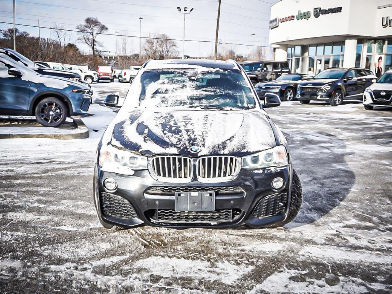 2016 BMW X3  Photo