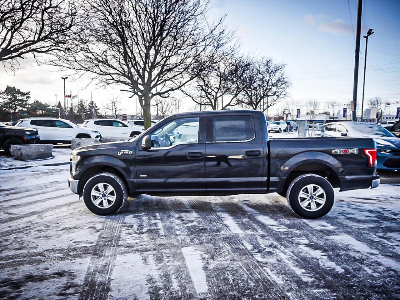 2015 Ford F-150  Photo