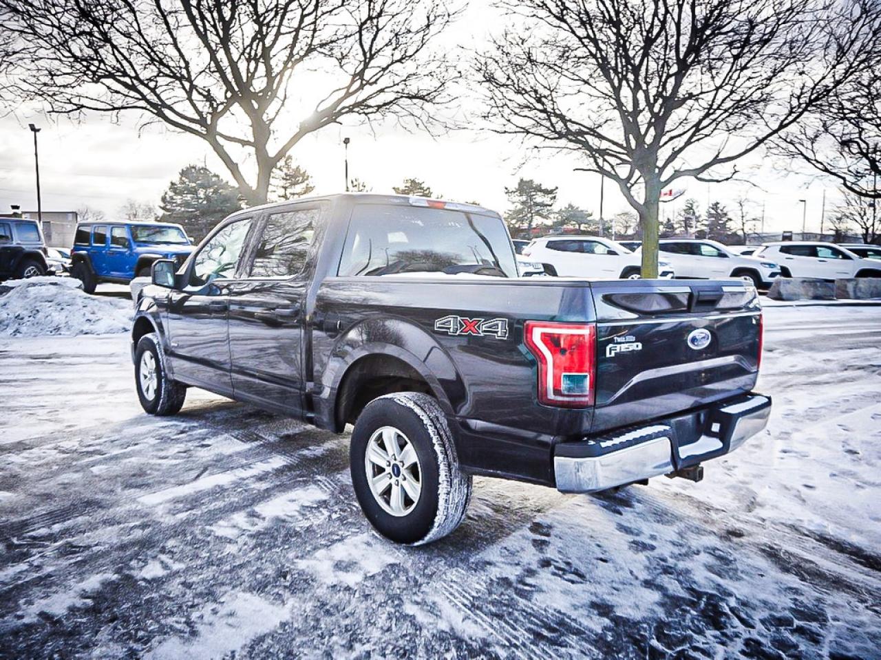 2015 Ford F-150  Photo