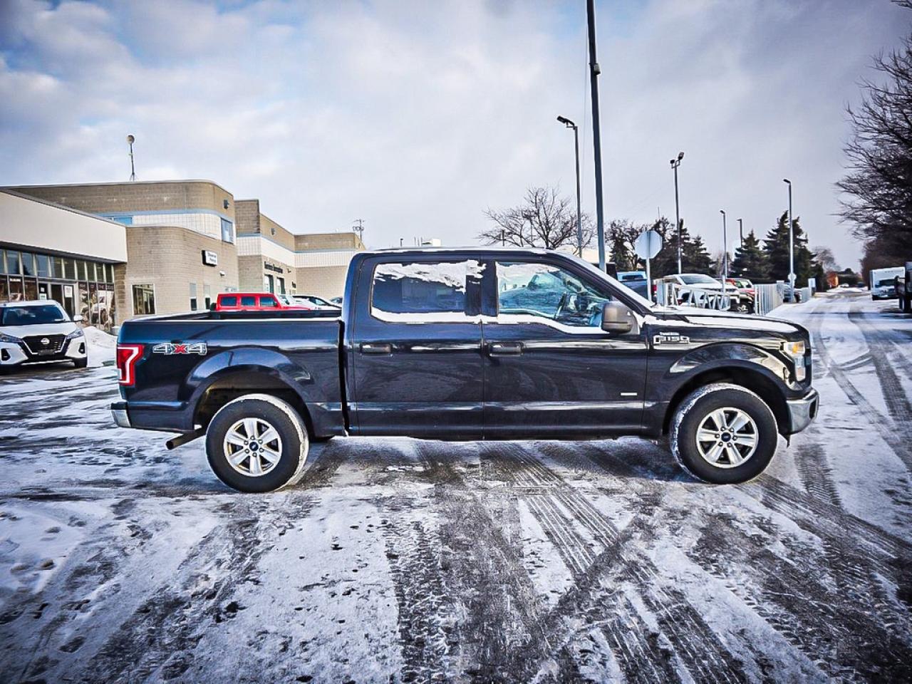 2015 Ford F-150  Photo