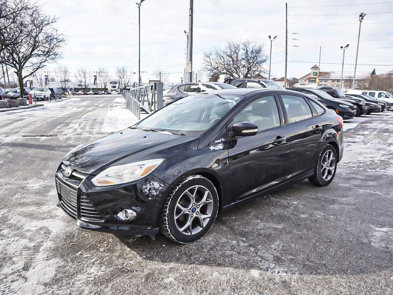 2013 Ford Focus  Photo