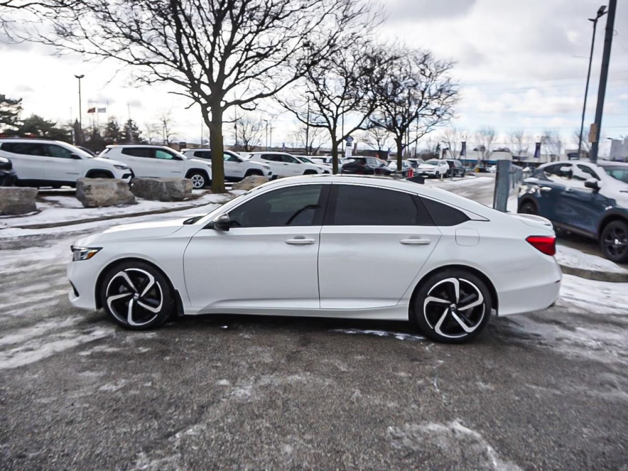 2022 Honda Accord Sedan  Photo