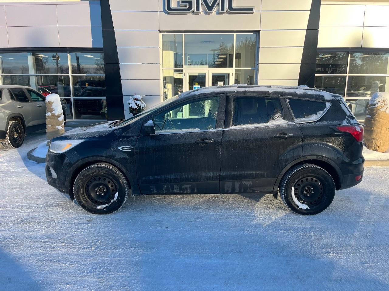 2019 Ford Escape SEL 4WD Photo