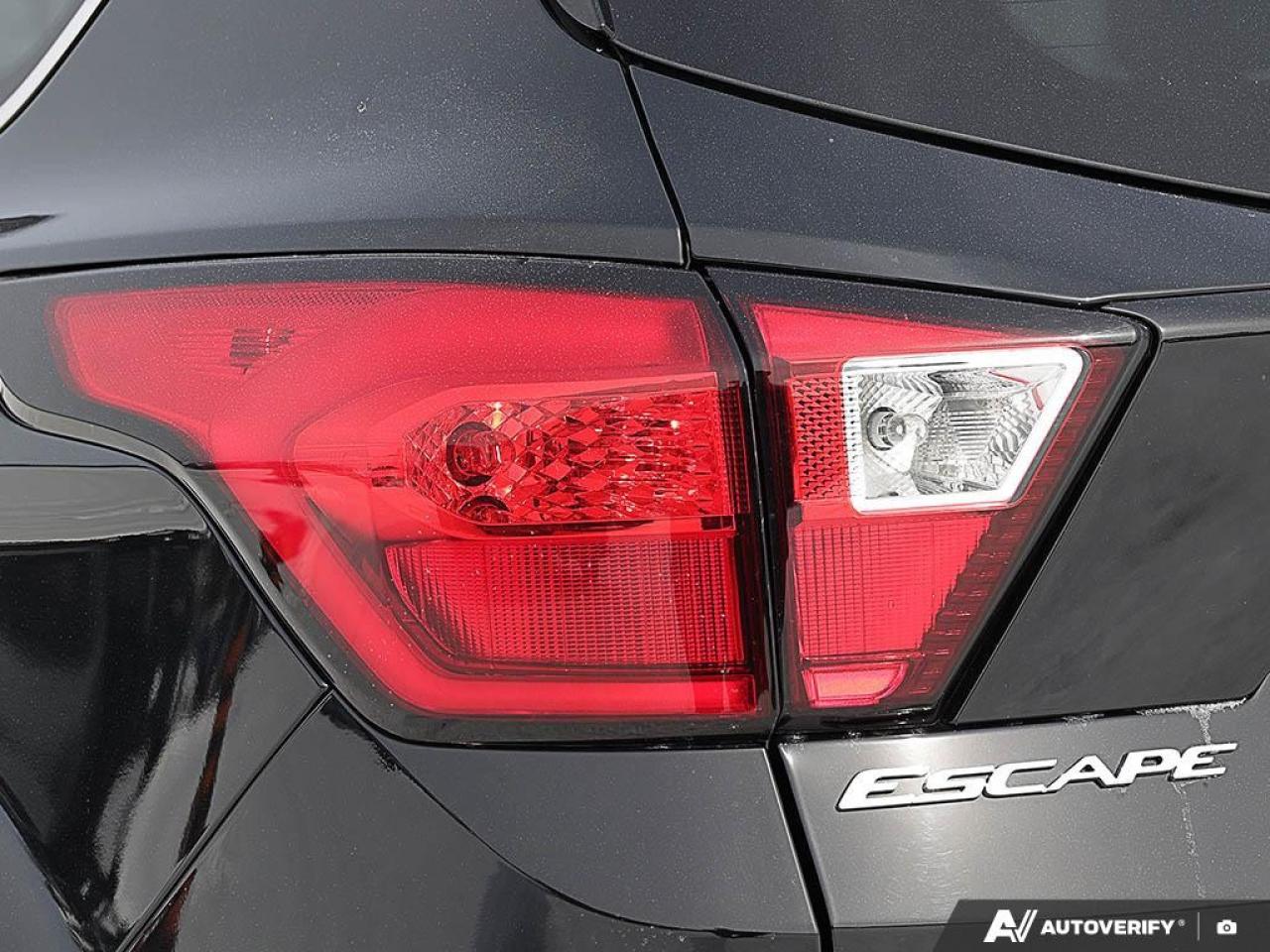 2019 Ford Escape SEL 4WD Photo