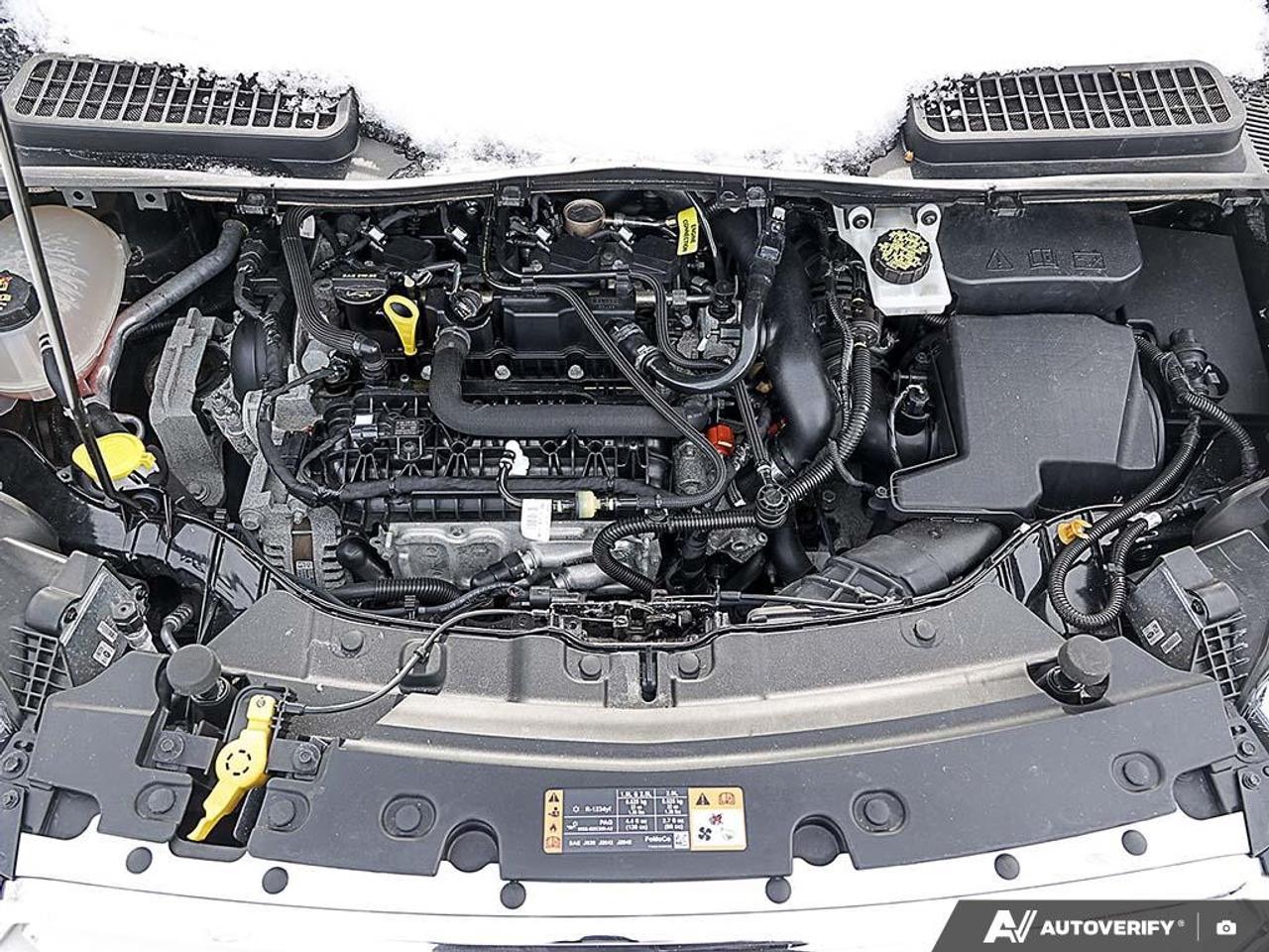 2019 Ford Escape SEL 4WD Photo