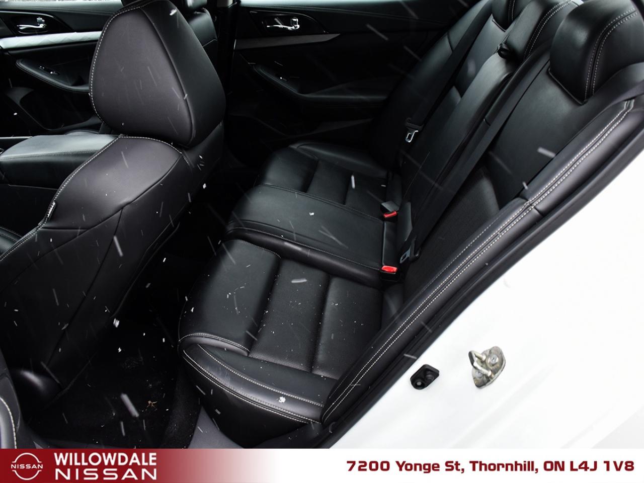 2018 Nissan Maxima  Photo